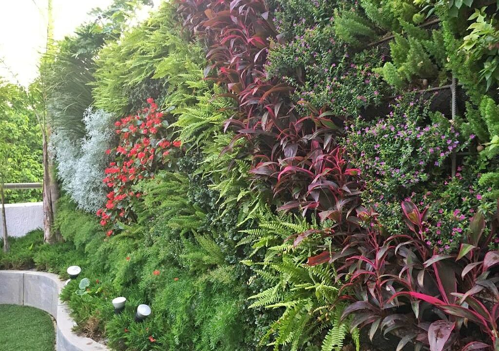 IMG-20210205-WA0130-01_copy_1024x768