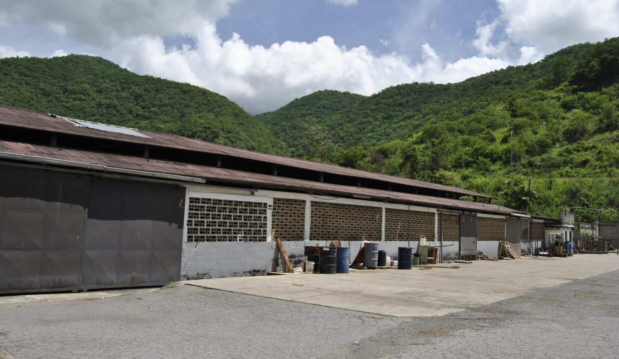 Fotos Galpón César Vignolo Fotógrafo +584142724163 - 16-08-2018 118