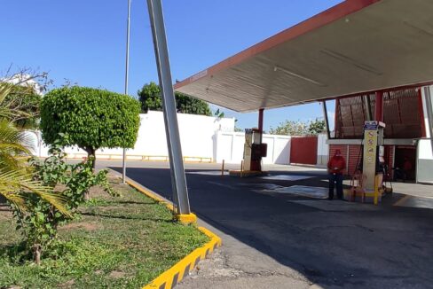 WhatsApp Image 2022-06-14 at 9.19.23 AM (1)